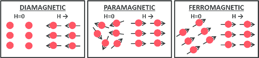 Schematic-representation-of-diamagnetic-paramagnetic-and-ferromagnetic-materials